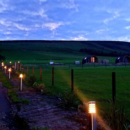 Lilly'S Lodges Orkney Hedgehog Lodge Finstown Exterior photo