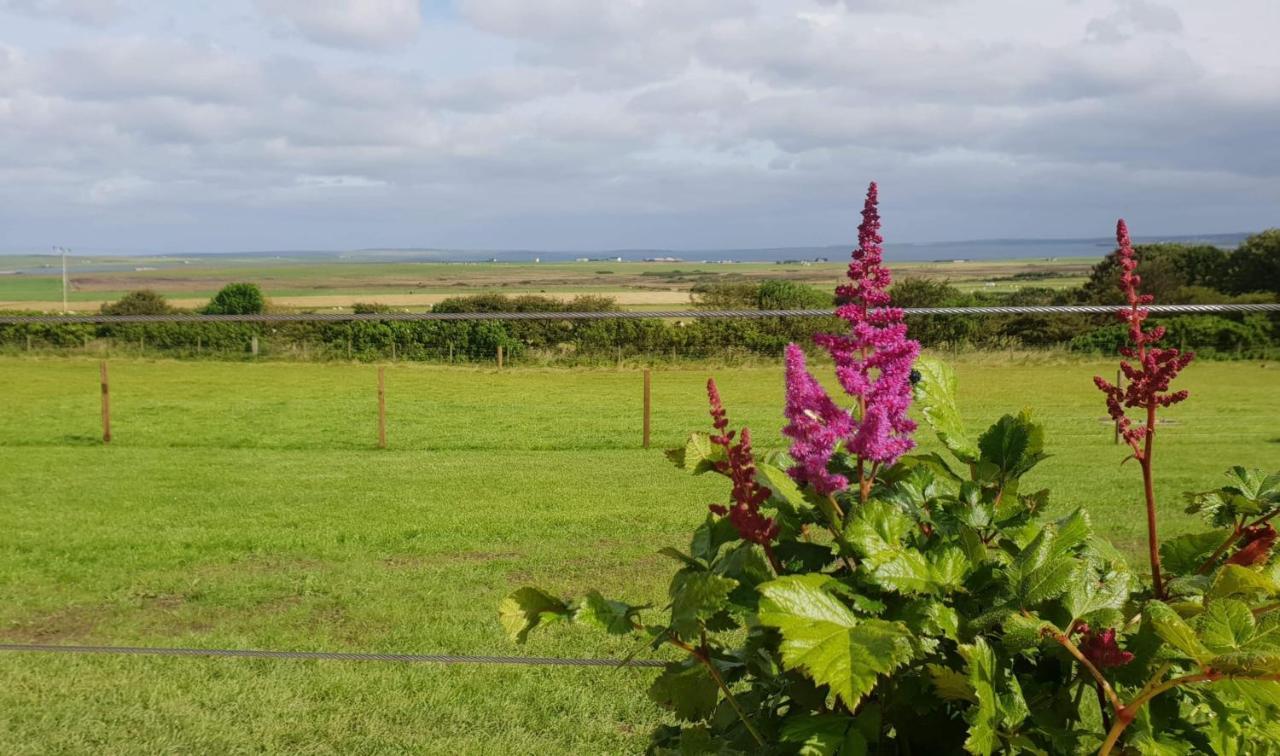 Lilly'S Lodges Orkney Hedgehog Lodge Finstown Exterior photo